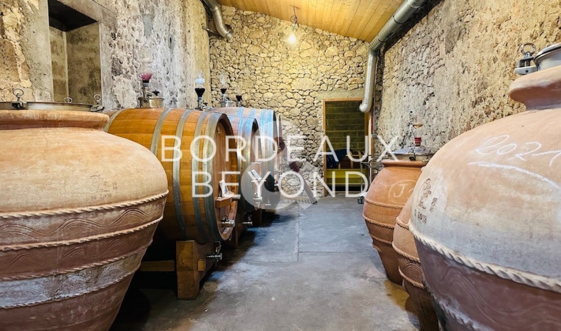 GIRONDE FRONSAC Châteaux/vignobles à vendre