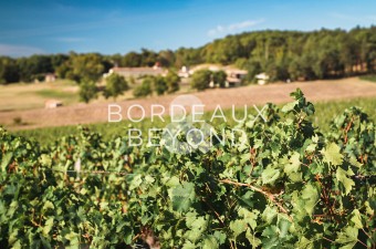 Petit domaine viticole de 13,5 hectares en AOC Castillon Côtes de Bordeaux, comprenant l'ensemble des installations de production.