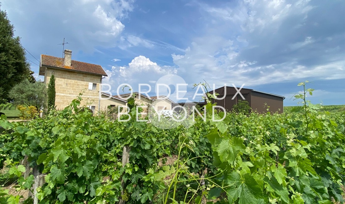 GIRONDE SAINT EMILION Châteaux/vignobles à vendre