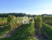 GIRONDE BORDEAUX Vignobles à vendre