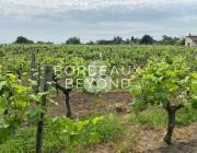 GIRONDE SAINT EMILION Vignobles à vendre